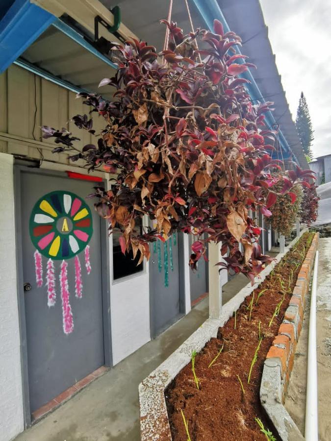 Dreamcatcher Homestay, Kundasang Ranau Eksteriør bilde