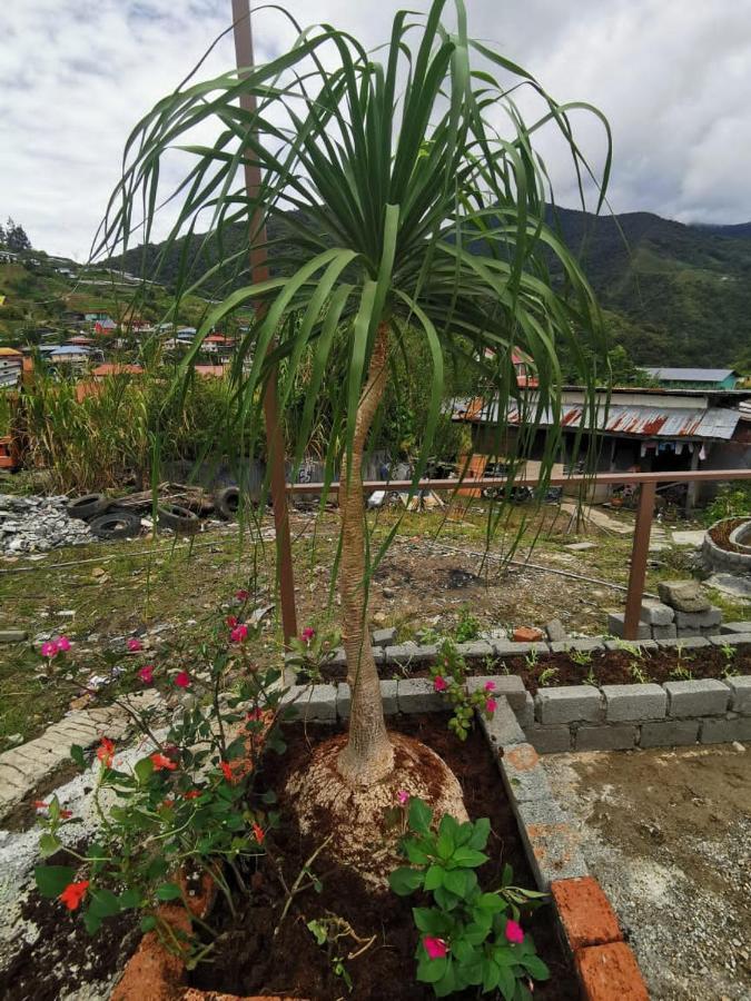 Dreamcatcher Homestay, Kundasang Ranau Eksteriør bilde